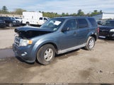 Ford Escape Xlt 1FMCU9D75BKA85496 снимка