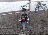 Miniaturka zdjęcia 6
