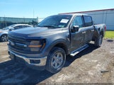 Ford F-150 Xlt 1FTFW3L59RKE01663 photo