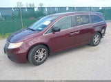 Honda Odyssey Ex-L 5FNRL5H65DB007599 снимка