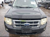 Ford Escape Xlt 1FMCU0D77BKC50962 снимка