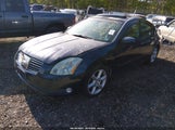 Nissan Maxima 3.5 Se 1N4BA41E65C829769 photo