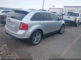 Ford Edge Sel 2FMDK3J94EBB21478 fotografie