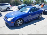 Mercedes-Benz Slk 320 WDBKK65F31F193521 снимка