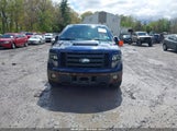 Ford F-150 Fx4/Lariat/Xl/Xlt 1FTPX14V49FB12316 fotografie