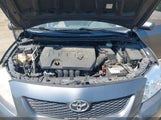Toyota Corolla Le 1NXBU4EE3AZ342203 photo