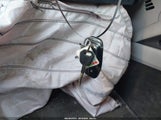 Miniaturka zdjęcia 11