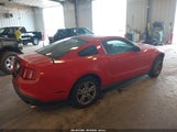 Ford Mustang V6/V6 Premium 1ZVBP8AN2A5112636 fotografie