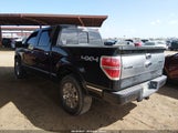 Ford F-150 Platinum 1FTFW1EF1DFA74767 снимка