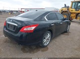 Nissan Maxima 3.5 Sv 1N4AA5AP1AC816666 снимка