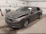 Hyundai Sonata Se 5NPE24AF7FH084212 снимка