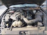 Ford Mustang V6 1FA6P8AM5H5345616 photo
