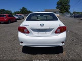 Toyota Corolla Le 2T1BU40E89C158749 fotografie