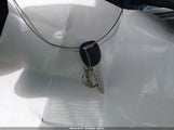 Miniaturka zdjęcia 11