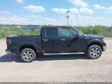 Ford F-150 Fx4/Harley-Davidson/King Ranch/Lariat/Platinum/Xl/Xlt 1FTFW1EV5AFB21365 fotografie