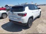 Jeep Compass Trailhawk 4X4 3C4NJDDN0ST551115 снимка