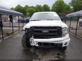 Ford F-150 Stx 1FTFX1EF2DKF07646 снимка
