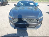 Ford Mustang Ecoboost 1FA6P8TH9H5312120 снимка