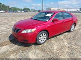 Miniaturka zdjęcia 2