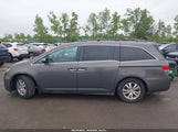 Honda Odyssey Ex-L 5FNRL5H64EB067584 снимка