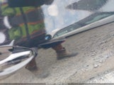Honda Civic Lx 19XFB2F52EE046852 photo