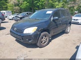 Toyota Rav4 JTMBD33V085183629 fotografie