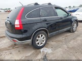 Honda Cr-V Exl JHLRE38787C028006 снимка