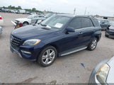 Mercedes-Benz Ml 350 4Matic 4JGDA5HB1DA116420 fotografie