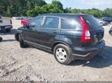 Honda Cr-V Lx JHLRE38367C048428 fotografie