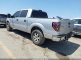 Ford F-150 Fx2 Sport/Harley-Davidson/King Ranch/Lariat/Platinum/Xl/Xlt 1FTFW1CV7AFC57239 снимка