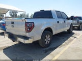 Ford F-150 Fx2 Sport/Harley-Davidson/King Ranch/Lariat/Platinum/Xl/Xlt 1FTFW1CV7AFC57239 снимка