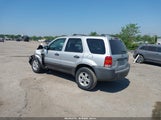 Ford Escape Xlt 1FMYU93175KE22094 снимка