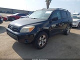 Toyota Rav4 JTMBD33V165026219 снимка