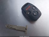 Miniaturka zdjęcia 11