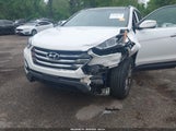 Hyundai Santa Fe Sport 2.4L 5XYZU3LB1EG182027 fotografie