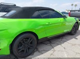 Miniaturka zdjęcia 6