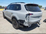 Kia Telluride Sx Prestige X-Pro 5XYP5DGC2PG379708 fotografie