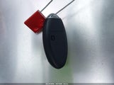 Miniaturka zdjęcia 11