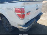 Ford F-150 Fx4/Harley-Davidson/King Ranch/Lariat/Platinum/Xl/Xlt 1FTFW1EV5AFB69089 снимка