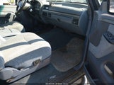 Ford Bronco U100 1FMEU15H5NLA55060 fotografie