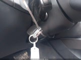 Miniaturka zdjęcia 11