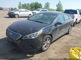 Hyundai Sonata 5NPE24AF3HH595242 снимка