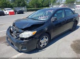 Toyota Corolla Le 5YFBU4EE5BP001159 fotografie