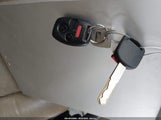 Miniaturka zdjęcia 11