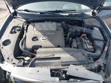 Nissan Maxima 3.5 Se 1N4BA41E87C814208 photo