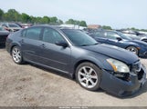 Nissan Maxima 3.5 Se 1N4BA41E87C814208 photo