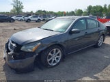 Nissan Maxima 3.5 Se 1N4BA41E87C814208 photo