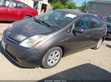 Miniaturka zdjęcia 2