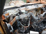 Chevrolet Silverado  Work Truck 1GCRKPEA2BZ398113 снимка