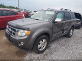 Ford Escape Xlt 1FMCU0D79BKC29286 fotografie